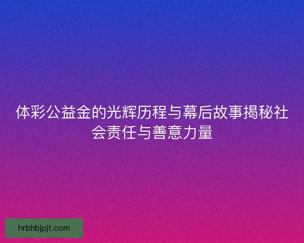 体彩公益金的光辉历程与幕后故事揭秘社会责任与善意力量