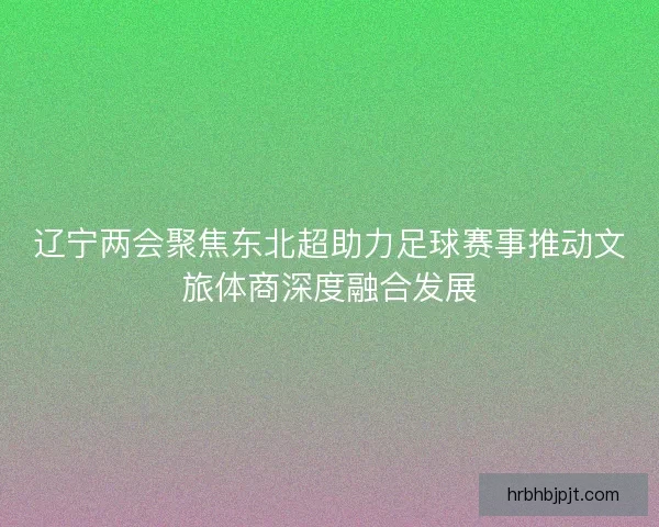 辽宁两会聚焦东北超助力足球赛事推动文旅体商深度融合发展