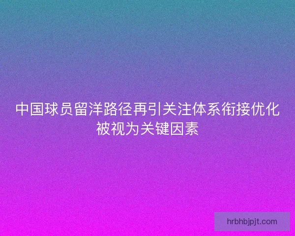 中国球员留洋路径再引关注体系衔接优化被视为关键因素